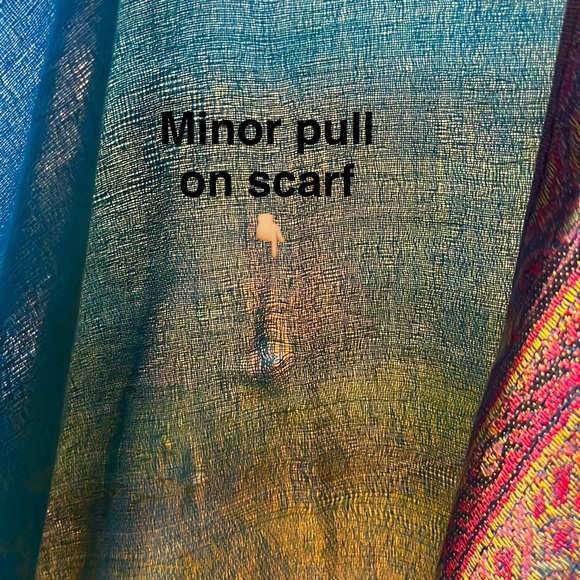 💜 PASHPASHMINA 100% Cashmere Scarf – 68” x 27” – Multicolor Paisley - Picture 6 of 8